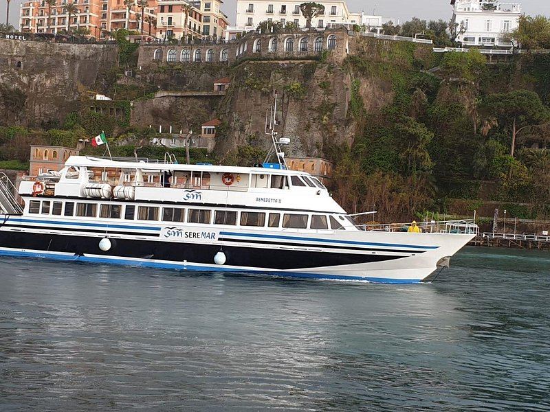 A passenger hydrofoil running along the coast towards the island